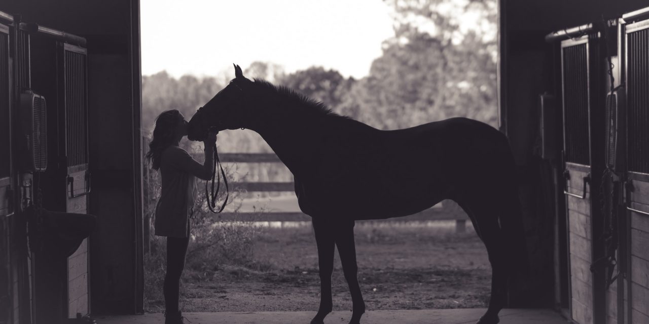 Comment apprendre à monter à cheval à Genève