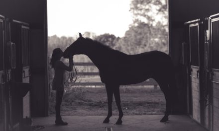 Comment apprendre à monter à cheval à Genève